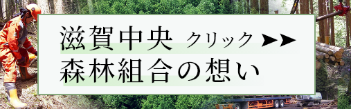 滋賀中央森林組合の思い